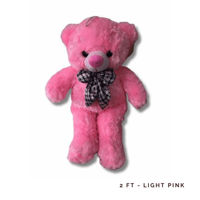 2FT Teddy - Light Pink: 2-ft Light Pink Teddy Bear, adding cuddly charm, soft elegance, and heartfelt joy to every special occasion.