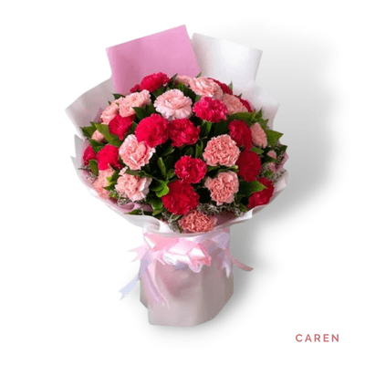 Caren arrangement on a plain background: Vibrant pink, blush, and red carnations with lush greenery, wrapped in soft pink and white accents.