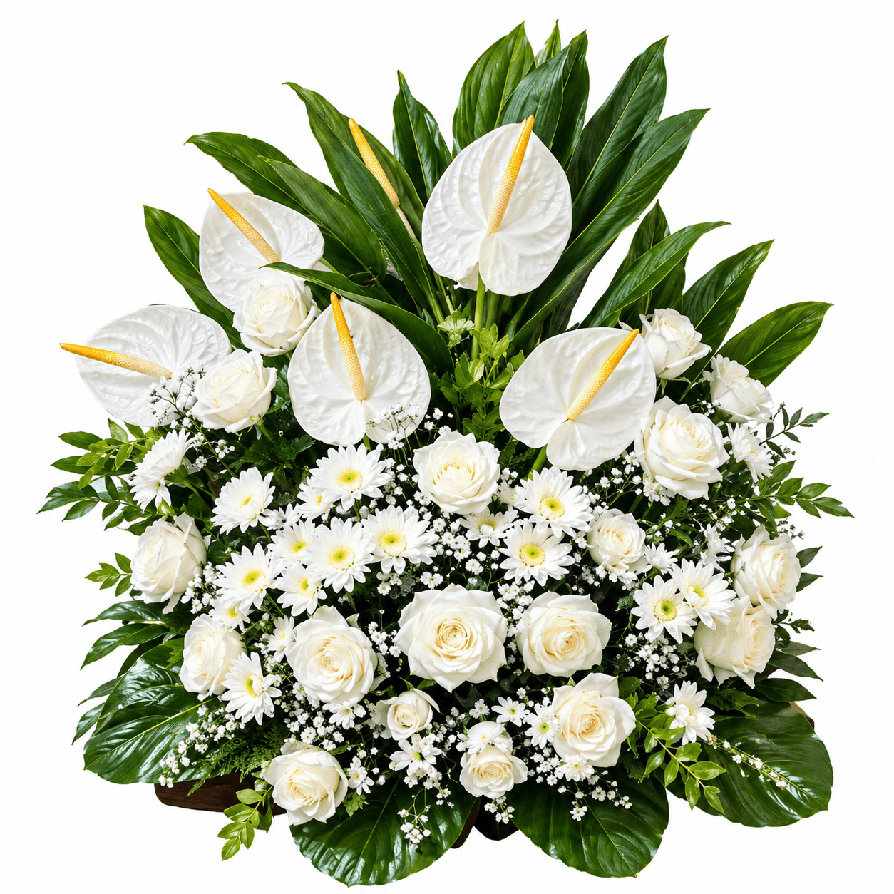 Flower Basket C: Six white anthuriums, twenty-four pristine roses, chrysanthemums, and lush greenery create a dignified, elegant commemorative tribute.