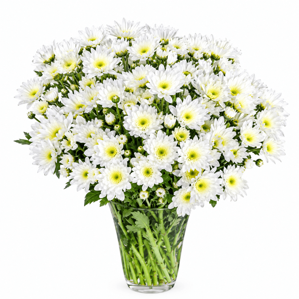 Glass Vase D: One Casablanca lily and three white mums beautifully arranged in glass, symbolizing peace, remembrance, grace, and comfort.