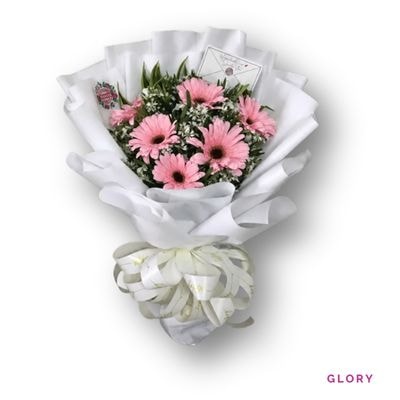 Glory: Six fresh gerberas beautifully wrapped in white, symbolizing purity, sincerity, grace, and heartfelt celebration.