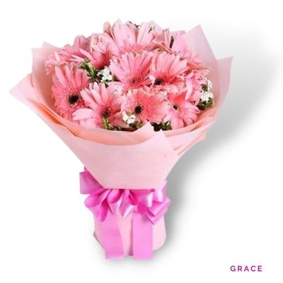 Grace: Twenty vibrant gerberas beautifully arranged, symbolizing happiness and positivity while offering an elegant, thoughtful, and affordable gift.
