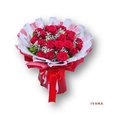 Ivana - China Roses: Premium imported China Roses, beautifully wrapped and perfect for expressing love, admiration, or appreciation.
