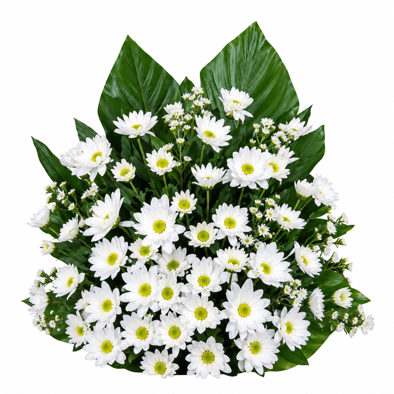 Rectangle Pot A: Fresh white chrysanthemums beautifully arranged with lush greenery, creating a peaceful tribute for remembrance and thoughtful gifting.