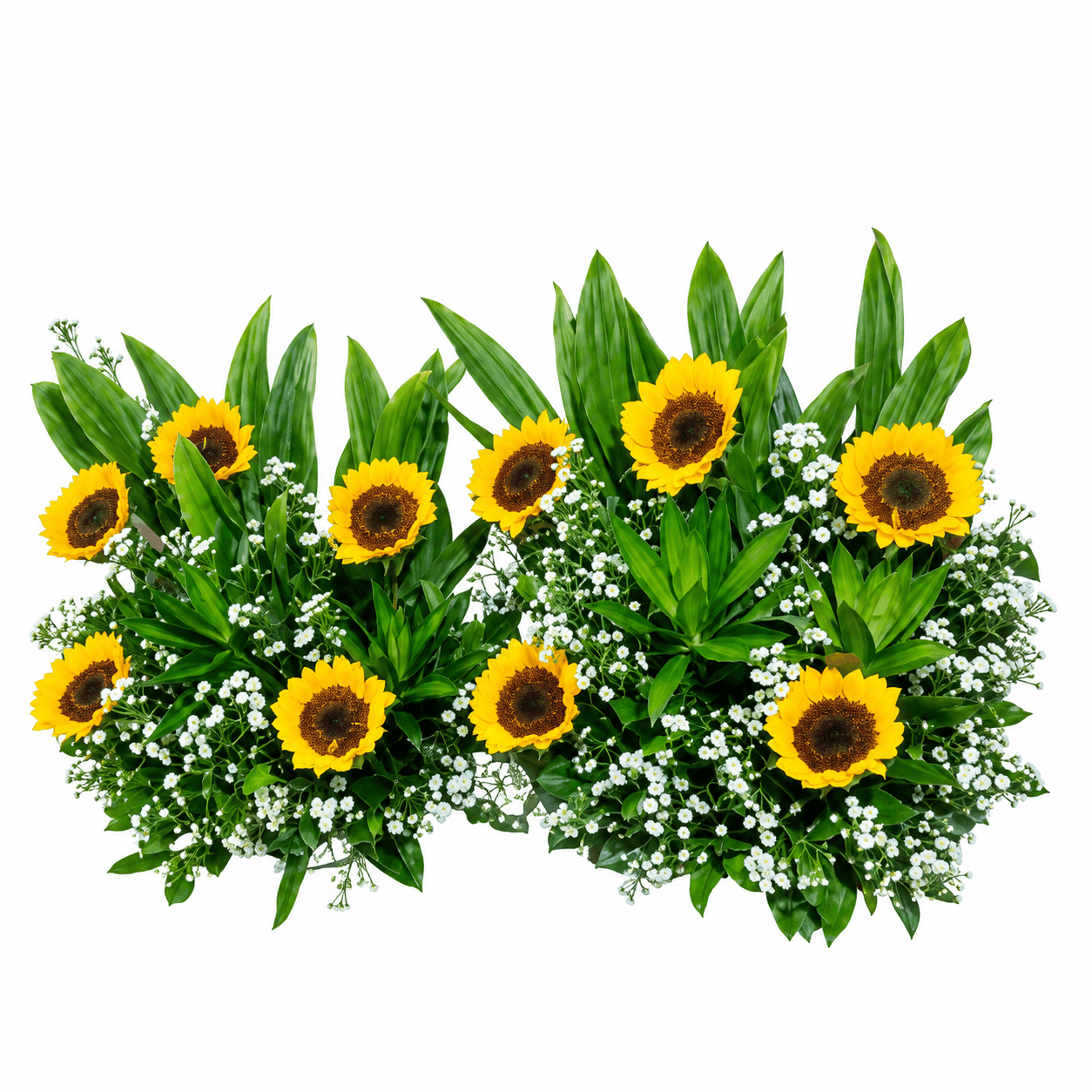 Rectangle Pot D: Sunflowers arranged in twin pots with greenery and baby’s breath, radiating warmth, joy, and sunshine.