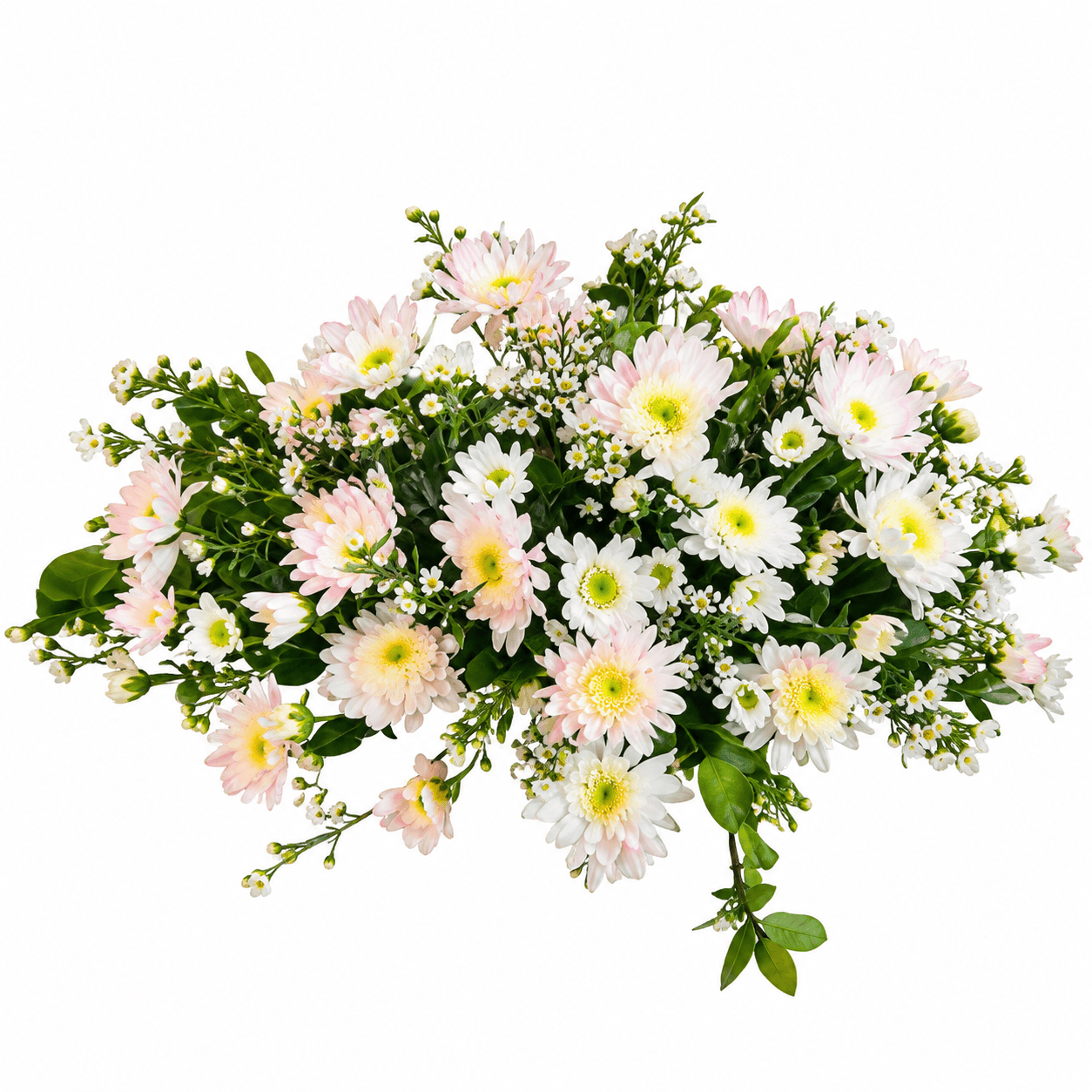 Rectangle Pot E: Soft white chrysanthemums with baby’s breath and greenery, creating an elegant arrangement for sympathy tributes and formal occasions.