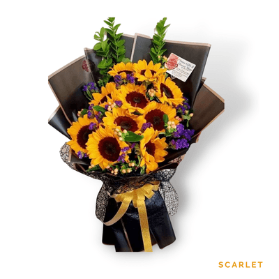 Scarlet arrangement on a plain background: Stunning scarlet sunflowers radiating warmth and vibrant charm, perfect for expressing admiration and heartfelt feelings.