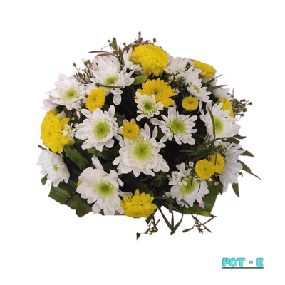 Small Pot E: A vibrant tribute of white and turquoise-toned mums with delicate accents, arranged in a compact round pot—bringing a fresh, cheerful touch to memorials and grave sites.