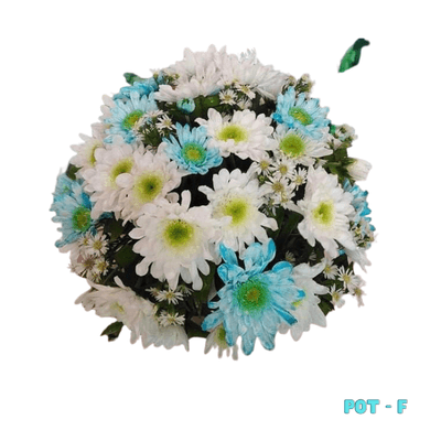Small Pot F: A vibrant arrangement of white and yellow mums with delicate accents, beautifully arranged in a compact round pot—bringing a fresh, cheerful touch to memorials and grave sites.