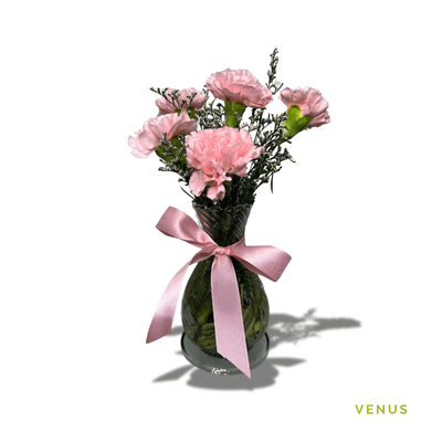 Venus: Six fresh carnations beautifully arranged in a clear glass vase, creating an elegant and versatile gift for any occasion.