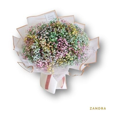 Zandra: A charming bouquet of preserved gypsophila, offering delicate beauty and lasting elegance for thoughtful gifts and special moments.