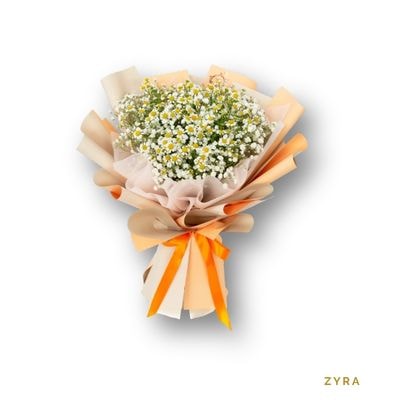 Zyra: A refreshing bouquet of chamomile and gypsophila, bringing garden-inspired charm, warmth, and joy to every heartfelt occasion.